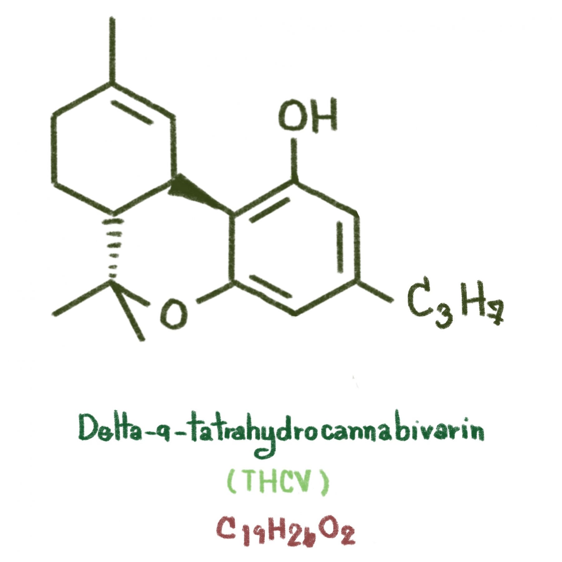 Delta 8 THC: Getting To Know It And Other Minor Cannabinoids