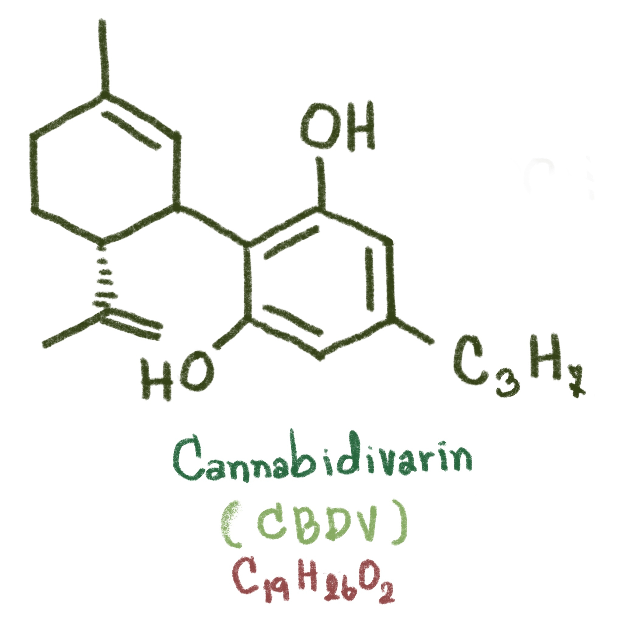 Delta 8 THC: Getting To Know It And Other Minor Cannabinoids